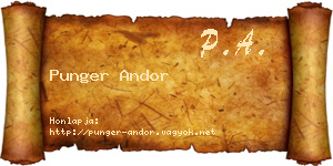 Punger Andor névjegykártya