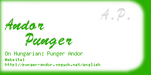 andor punger business card